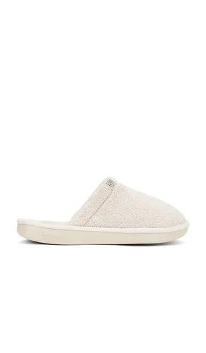 Essential in Nude. - size 10/10.5 (also in 11/11.5, 12/12.5, 13/13.5, 8/8.5, 9/9.5) - Brunch - Modalova
