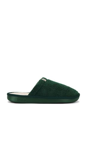 Essential Fall in Green. - size 10/10.5 (also in 11/11.5, 12/12.5, 13/13.5, 7/7.5, 9/9.5) - Brunch - Modalova