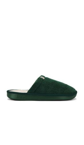 Essential Fall in Green. - size 10/10.5 (also in 11/11.5, 12/12.5, 9/9.5) - Brunch - Modalova