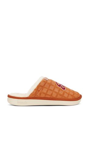 Essential Eggo in Brown. - size 13 (also in 9) - Brunch - Modalova
