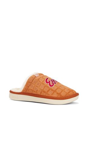 Essential Eggo in Brown. - size 13 (also in 9) - Brunch - Modalova