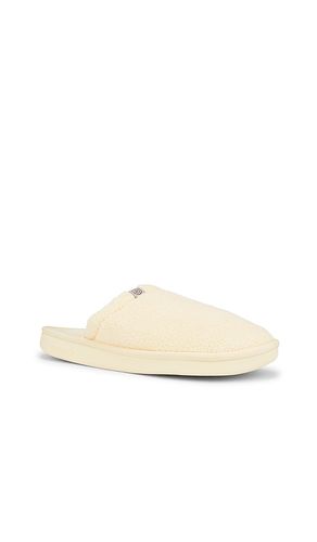 Essential Spring in . Size 12/12.5. Also in 13/13.5 - Brunch - Modalova