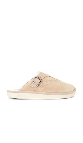 Loafer in . - size 11/11.5 (also in 12/12.5, 13/13.5, 7/7.5, 8/8.5, 9/9.5) - Brunch - Modalova