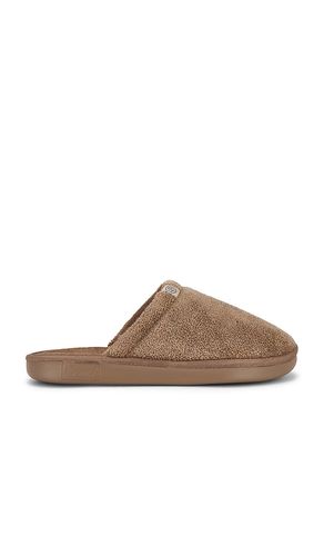 SLIPPERS ESSENTIAL in . Größe 9/9.5. Also in 10/10.5, 13/13.5 - Brunch - Modalova