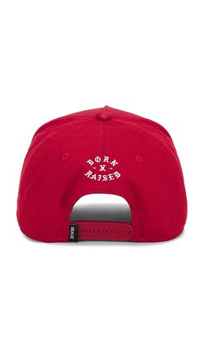 BASEBALLKAPPE PARANOIA in - Born x Raised - Modalova