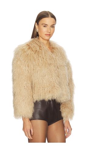 Georgina Jacket in . Size L. Also in M, S, XS - Bubish - Modalova