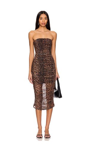 Emerson Tube Dress in Brown. - size L (also in XL) - Bella Venice - Modalova