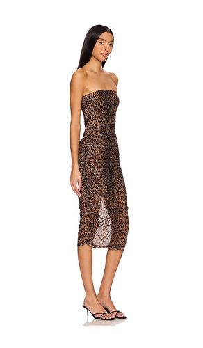 TRÄGERLOSES KLEID EMERSON in . Größe L. Also in M, S, XL, XS - Bella Venice - Modalova