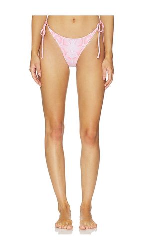 The Belle Bikini Bottom in Pink. - size L (also in M, S, XS) - Bella Venice - Modalova