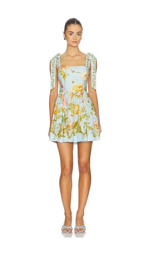 Tula Mini Dress in . Taglia 4. Also in 8 - Cara Cara - Modalova