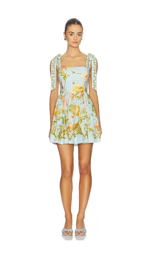 Tula Mini Dress in . Taglia 8. Also in 4 - Cara Cara - Modalova