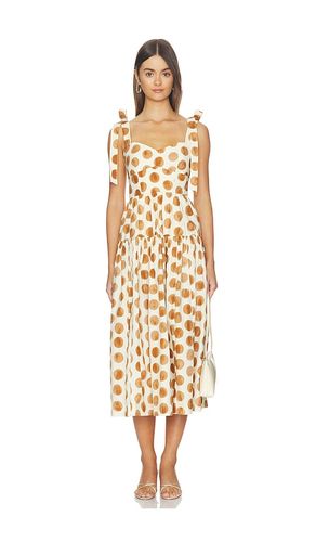 KLEID FAIZA in ,. Größe 00. Also in 2, 4, 8 - Cara Cara - Modalova