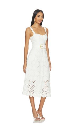 KLEID CALYPSO in . Größe 8. Also in 10, 12 - Cara Cara - Modalova