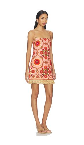 Valencia Mini Dress in . Taglia 4. Also in 2, 6 - Cara Cara - Modalova