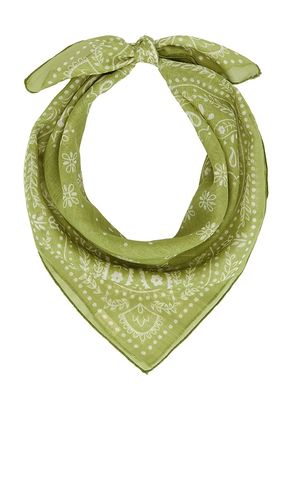 Casa Clara Darcy Scarf in Green - Casa Clara - Modalova