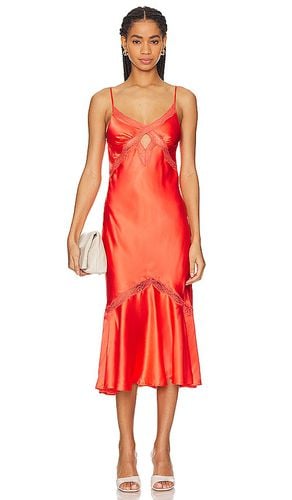 Florentina Dress in . Size 8 - CAMI NYC - Modalova