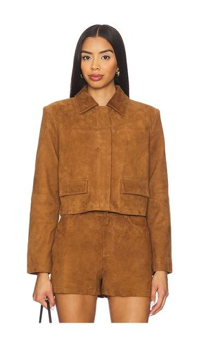 Sullivan Suede Jacket in . Taglia L. Also in XL - CAMI NYC - Modalova