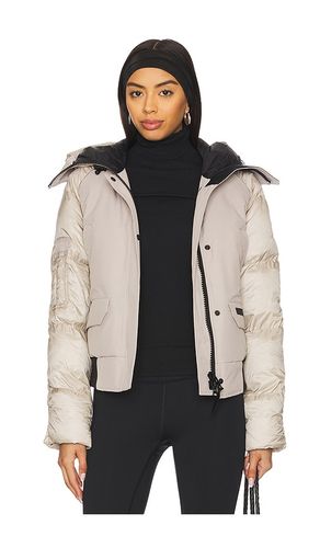 Bomber chilliwack paradigm en color crema talla L en - Cream. Talla L (también en M, S, XL, XS) - Canada Goose - Modalova