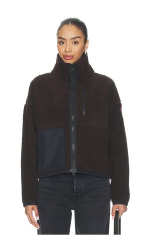 JACKE SIMCOE in . Größe S. Also in L - Canada Goose - Modalova