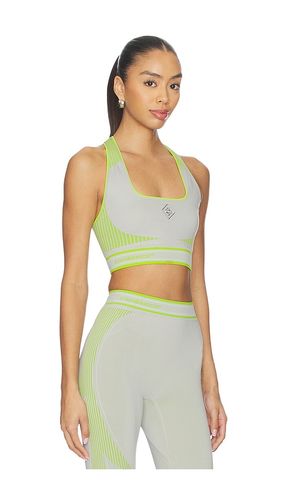 BUSTIER SEAMLESS in . Größe L/XL. Also in S/M - Casablanca - Modalova