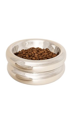 Elevated Halo Pet Bowl in - Catenary Home - Modalova