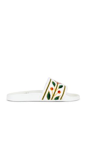 PANTOLETTE LAUREL in . Größe 40. Also in 45 - Casablanca - Modalova