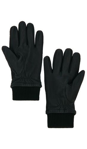 HANDSCHUHE WORKMAN in . Größe S. Also in M, XL/1X - Canada Goose - Modalova