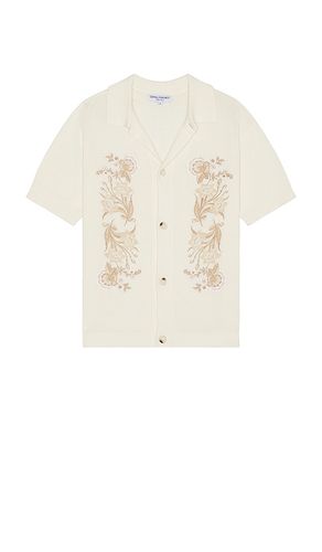 Embroidered Buttondown Shirt in Yellow. - size S (also in XL/1X) - Central Park West - Modalova