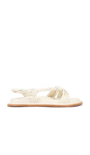 Iverly Knot Sandal in . Size 36. Also in 39, 40 - Acler - Modalova
