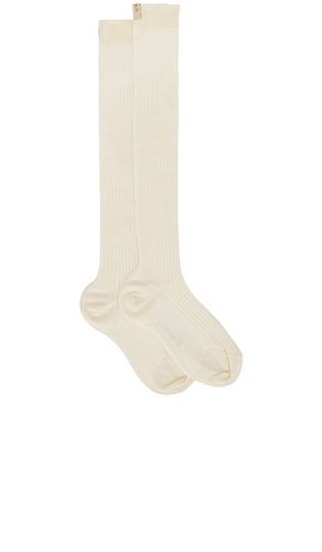 SOCKEN in . Größe 36/37. Also in 40/41 - Comme Si - Modalova