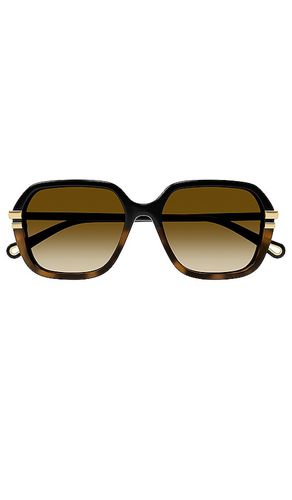 West Square Sunglasses in Brown - Chloe - Modalova