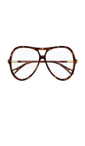 Chloe Round Sunglasses in Cognac - Chloe - Modalova