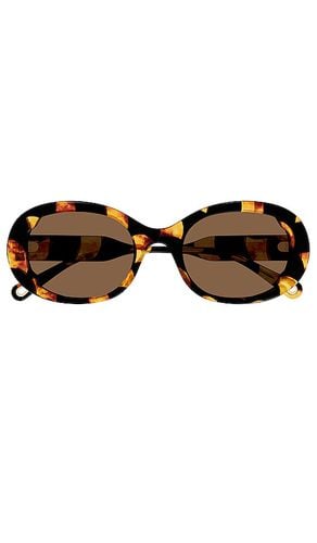 Lilli Oval Sunglasses in Brown - Chloe - Modalova