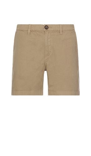 The Dunes 5.5 Short in Brown. - size L (also in M, XL/1X) - Chubbies - Modalova