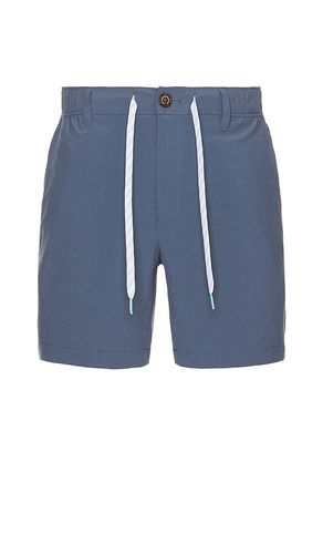 The Ice Caps 6 Short in Blue. - size L (also in M, XL/1X, XXL/2X) - Chubbies - Modalova