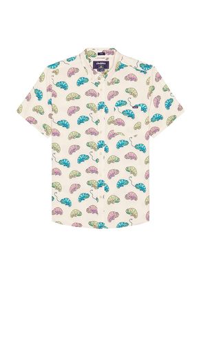 The Blend In Friday Shirt in White. - size L (also in M, S, XL/1X) - Chubbies - Modalova