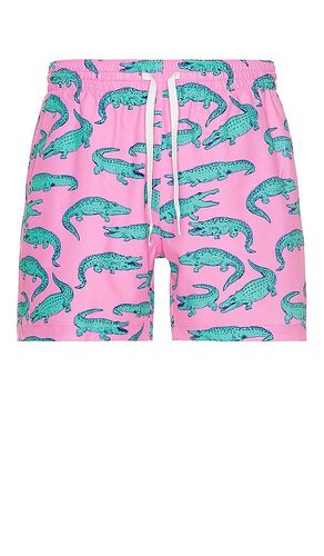 The Glades 5.5 Classic Swim Trunk in Black. - size L (also in XXL/2X) - Chubbies - Modalova