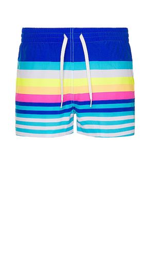 The Newports 7 Swim Trunk in Blue. - size S (also in M, XL/1X, XXL/2X) - Chubbies - Modalova