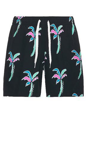 The Havana Nights 5.5 Swim Short in . - size XL/1X (also in XXL/2X) - Chubbies - Modalova