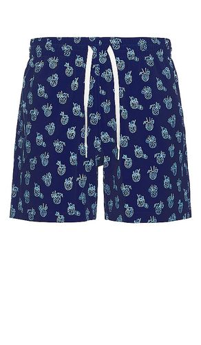 The Coladas 5.5 Swim Short in Blue. - size L (also in S, XL/1X, XXL/2X) - Chubbies - Modalova