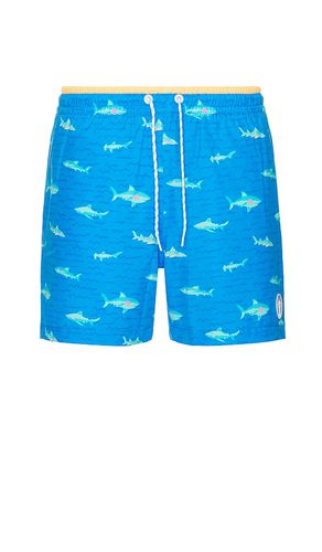 The Secret Tides 5.5 Swim Short in Blue. - size M (also in S) - Chubbies - Modalova