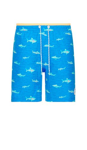 The Secret Tides 7 Swim Short in Blue. - size L (also in M, S, XXL/2X) - Chubbies - Modalova