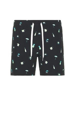 The Beach Essentials 5.5 Swim Short in . - size L (also in S) - Chubbies - Modalova