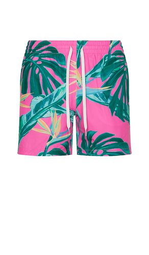 The Birds Of Paradise 5.5 Swim Short in Pink. - size L (also in S, XL/1X) - Chubbies - Modalova