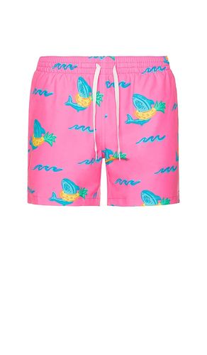 The Pineapple Floaters 5.5 Swim Short in Pink. - size L (also in M, S, XL/1X) - Chubbies - Modalova