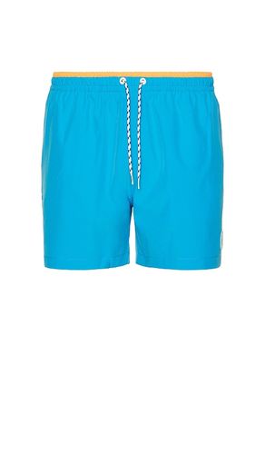 The Blue Barracudas 5.5 Swim Short in Blue. - size L (also in M, S, XL/1X) - Chubbies - Modalova