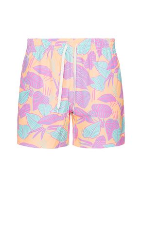 The Posh Palms 5.5 Swim Short in Orange. - size L (also in M, S, XL/1X) - Chubbies - Modalova
