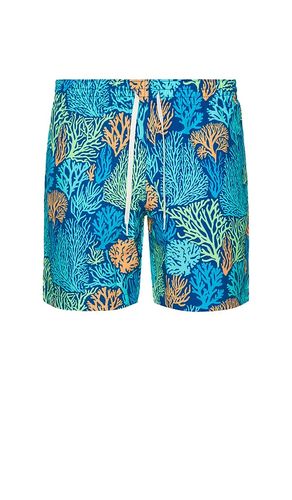 The Coral Quarrels 7 Swim Short in Blue. - size L (also in M, S, XL/1X) - Chubbies - Modalova