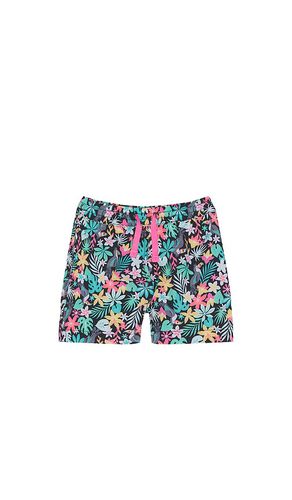 The Lil Blooms Swim Trunk in Green. - size 2 (also in 3, 4, 5, 6) - Chubbies - Modalova