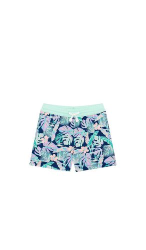 The Tiny Night Faunas Swim Stuck in . - size 5 (also in 6) - Chubbies - Modalova